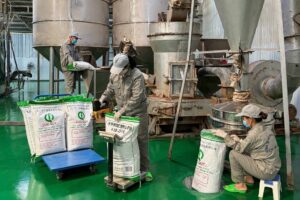 grass jelly powder production process
Mesona Chinensis leaves drying
spray drying grass jelly extract
Vietnam grass jelly factory