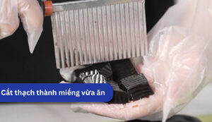 Thạch sương sáo thành phẩm cắt miếng vuông đẹp mắt