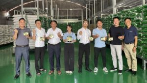 Bột sương sáo Đức Quý sản xuất tại Việt Nam Sản xuất bột sương sáo chất lượng cao tại Việt Nam